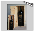 Doppio Magnum