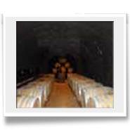 Le cantine dell'azienda vitivinicola Paonessa