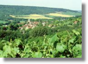 I vigneti dello Champagne